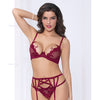 Netting Bra w/Lace Applique, Strappy Garterbelt & Thong Wine XL
