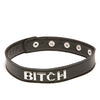 XPlay Talk Dirty to Me Collar - Bitch