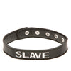 XPlay Talk Dirty to Me Collar - Slave