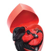 Frisky Passion Fetish Kit w/Heart Gift Box - Red