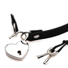 Master Series Lock-It Heart Lock and Key Choker