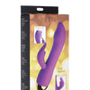 Inmi 10x Come Hither G-Focus Silicone Vibrator - Purple
