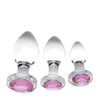 Booty Sparks Pink Gem Glass Anal Set