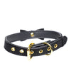 Master Series Golden Kitty Cat Bell Collar - Assorted Colors