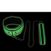 Master Series Kink in the Dark Glowing Collar w/Leash