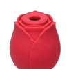 Inmi Bloomgasm Wild Rose - Red