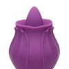 Inmi Bloomgasm Wild Violet - Purple