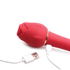 Inmi Bloomgasm Sweet Heart Rose 5X Suction Rose & 10X Vibrator - Red
