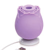 Inmi Bloomgasm Wild Rose - Purple