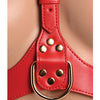 Strap U Laced Seductress Lace Crotchless Panty Harness w/Garter Straps - S/M Black